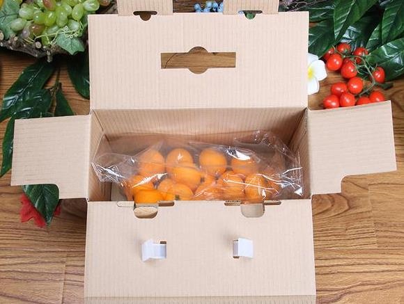 水果包裝紙箱.jpg